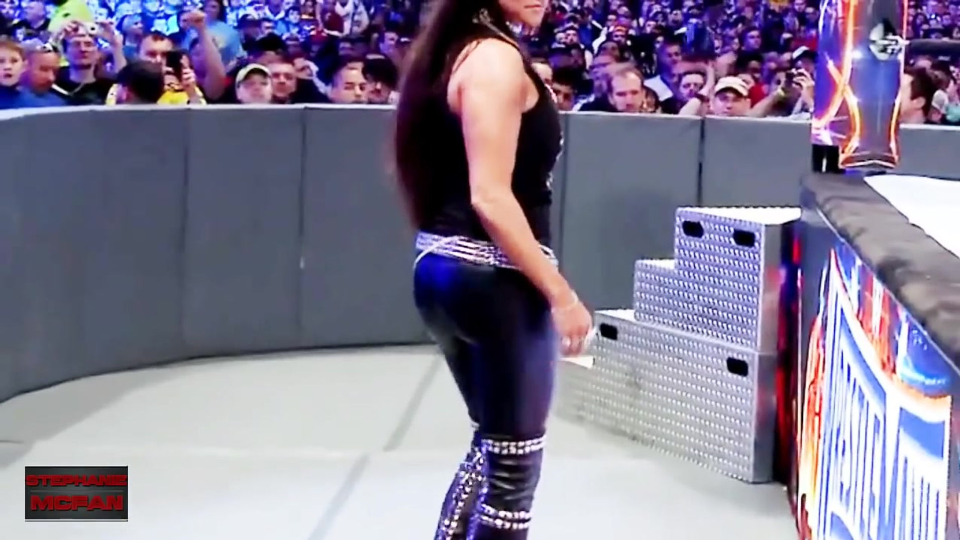 Stephanie McMahon Wrestlemania 33 Highlights
